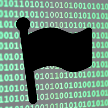 Capture The Flag Icon